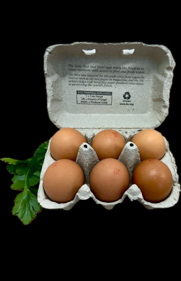 Free Range Eggs